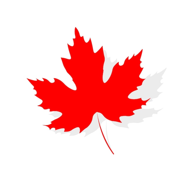 Maple leaf icon