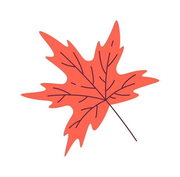 Maple Leaf Icon