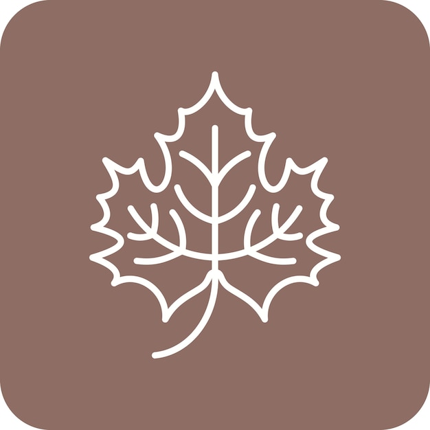 Vector maple leaf icon