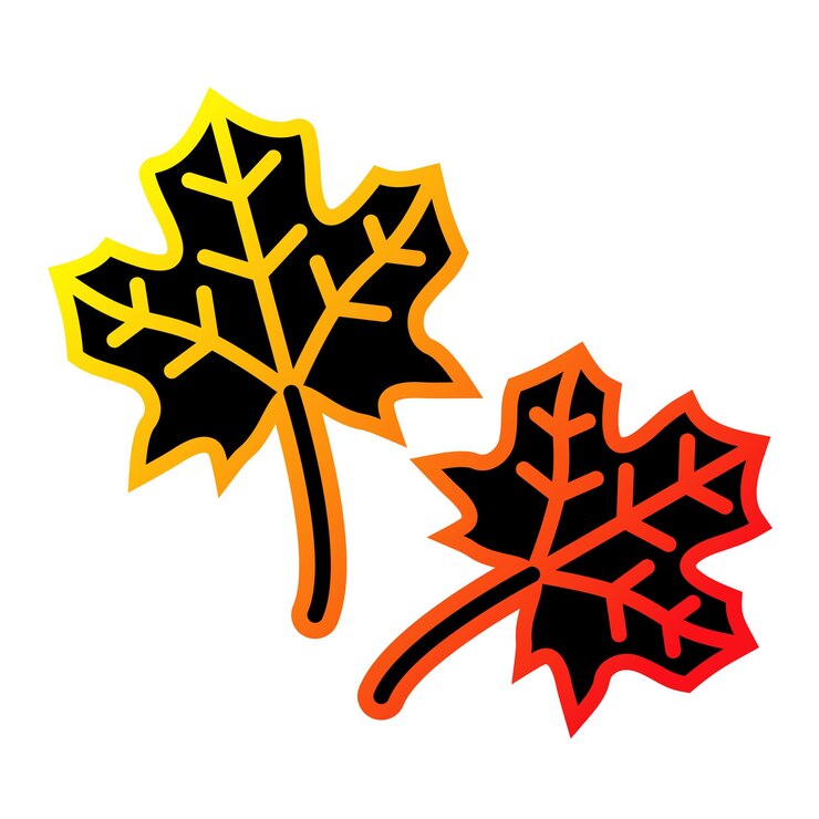 Vector maple leaf icon