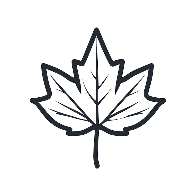 Maple Leaf Outline Drawing Vector Images (over 1,700)