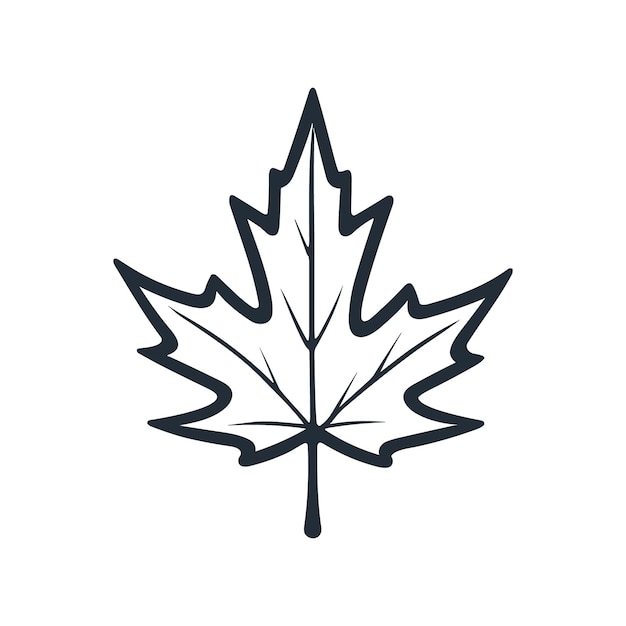 Vector maple leaf llogo design vectorl silhouette icon