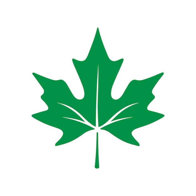 Vector maple leaf llogo design vectorl silhouette icon