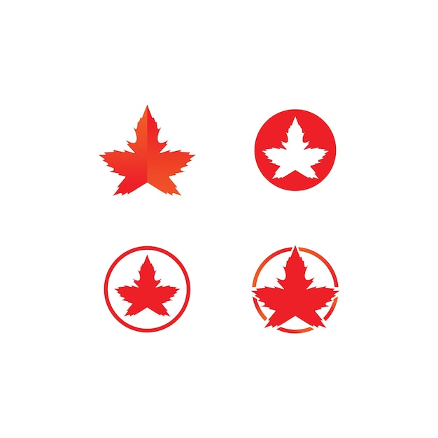 Maple Leaf Logo Design Template