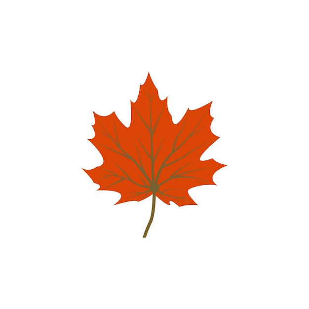 Maple leaf logo template vector icon illustration design