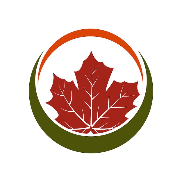 Maple leaf logo Template vector icon illustration design