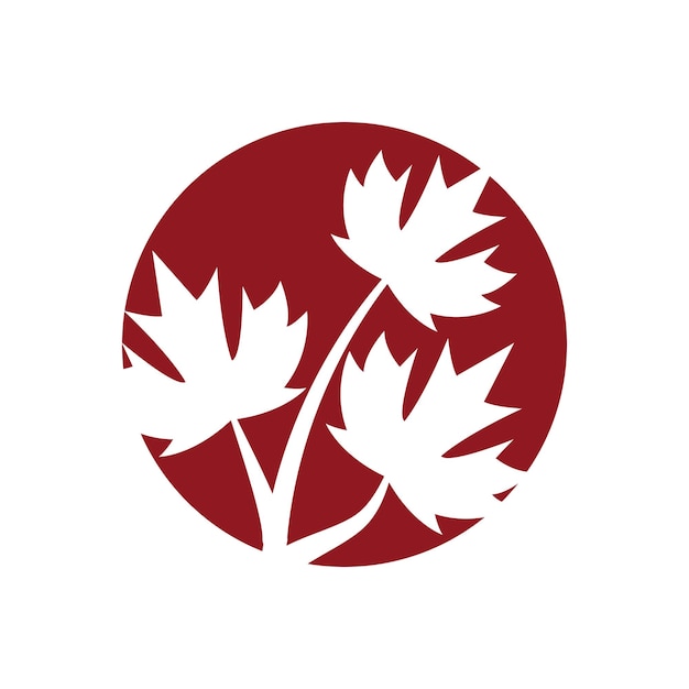 Vector maple leaf logo template vector icon illustration design
