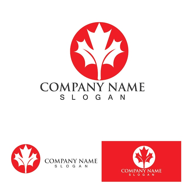 Maple leaf logo vector illustration design template