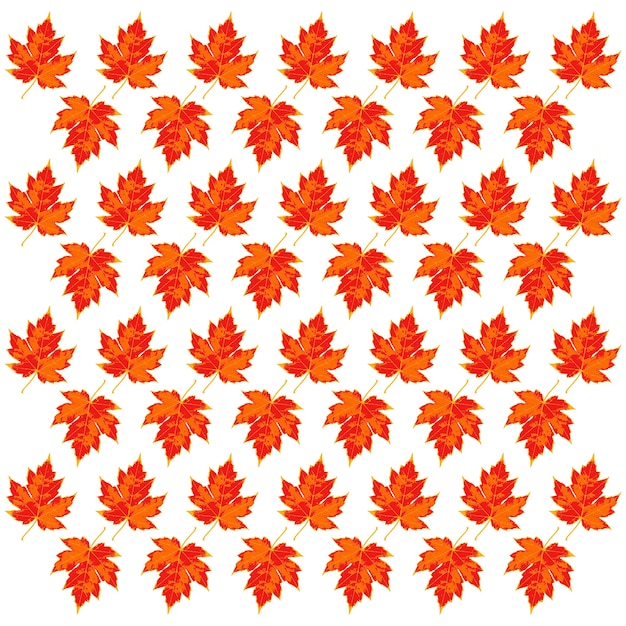 MAPLE LEAF PATTERN