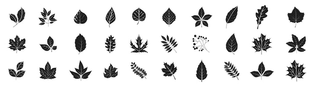 силуэты кленовых листьев силуэт листья набор осень на прозрачном фоне изолированные
