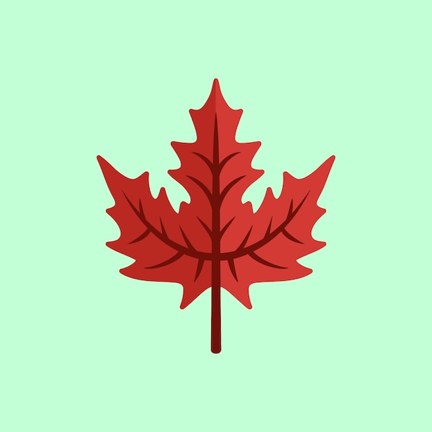 maple leaf thanksgiving element vector cute logo icon illustration