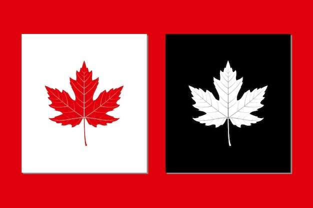 Maple Leaf Vector Icon Canadian Maple Leaf Logo Isolated on White