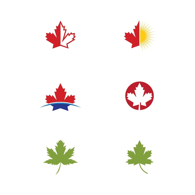 Vector maple leaf vector icon