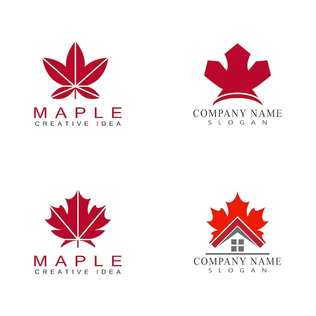 Vector maple leaf vector illustration design template