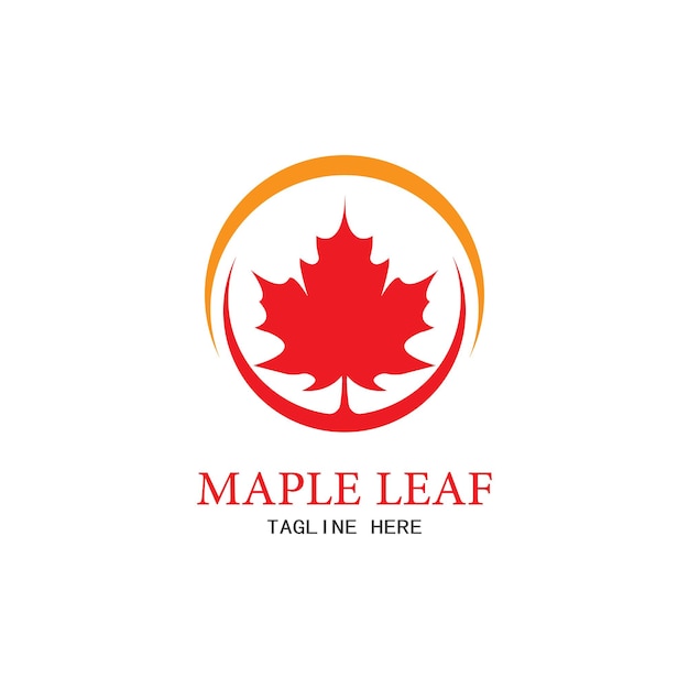 Vector maple leaf vector illustration design template