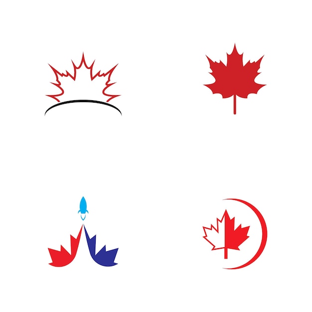 Maple leaf vector illustration