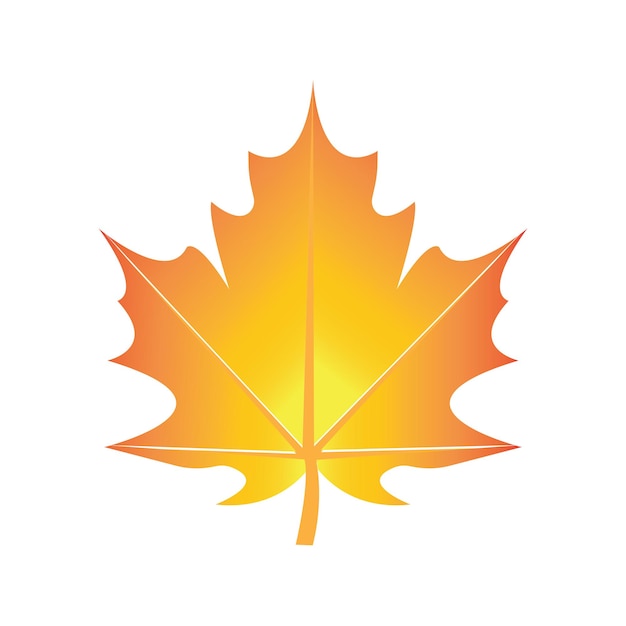 Maple leaf vector illustration