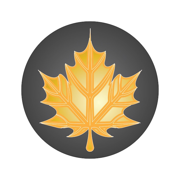 Vector maple leaf vector illustration