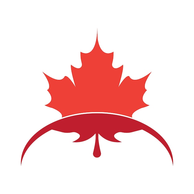 Maple leaf vector illustration