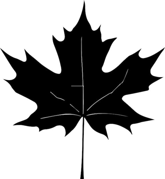 Maple leaf vector silhouette illustration black color