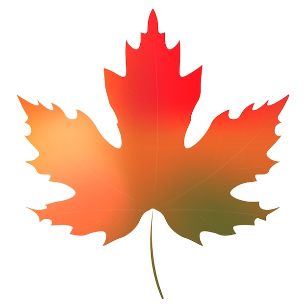 a maple leaf with the word maple on it