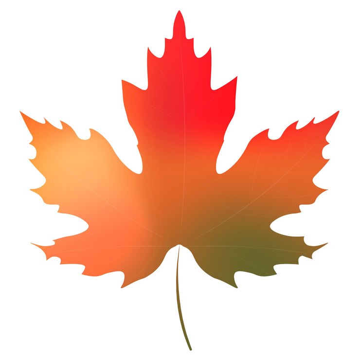 Vector a maple leaf with the word maple on it
