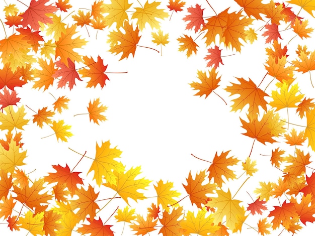 Maple leaves vector background autumn foliage on white graphic design