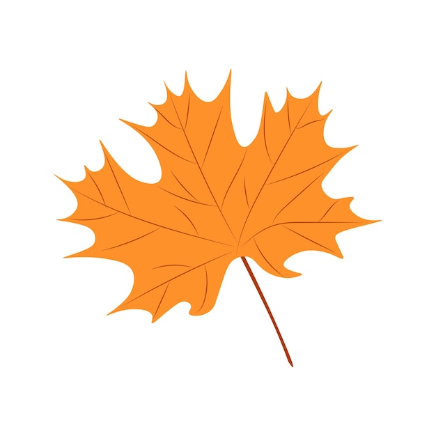 Maple leaves vector illustration Autumn Fall leaves maple