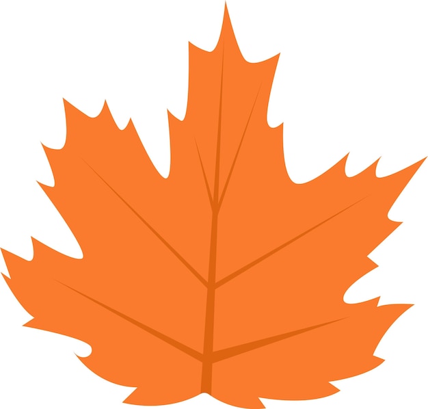 Vector maple tree leaf