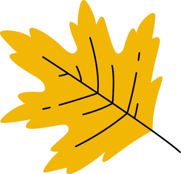 Vector maple tree leaf