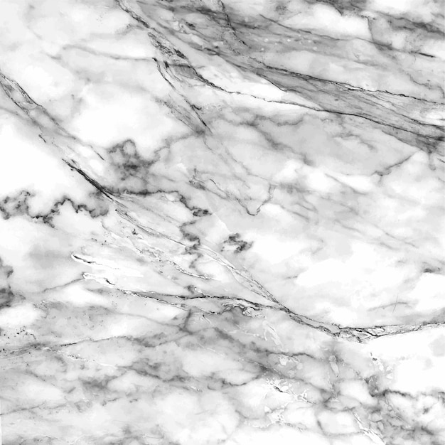 Vector marble texture background