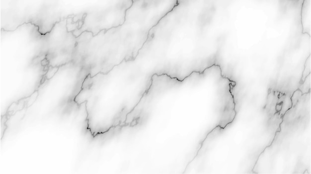 Marble white vector background