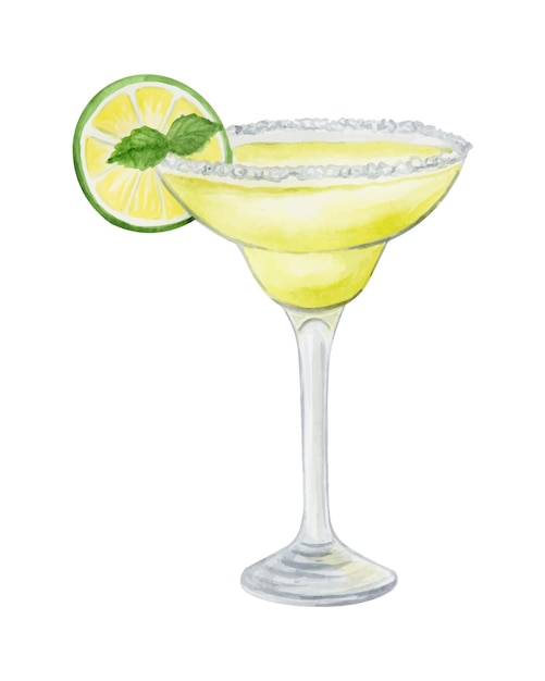 Vector margarita cocktail watercolor hand drawn illustration drink clipart on white background