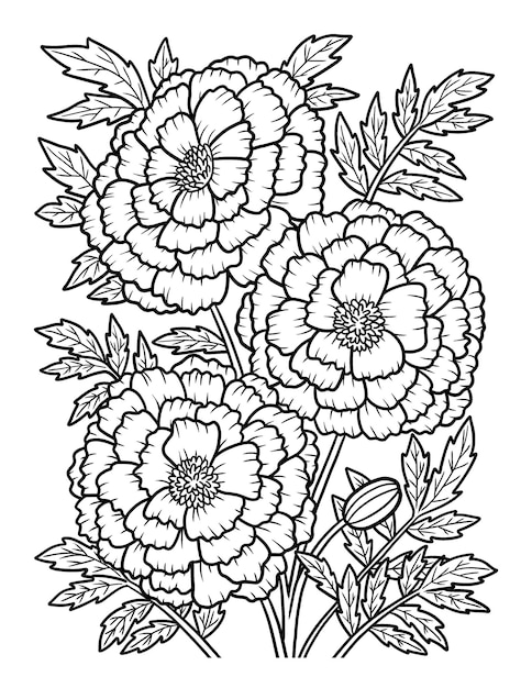 Marigold flower coloring page for adults