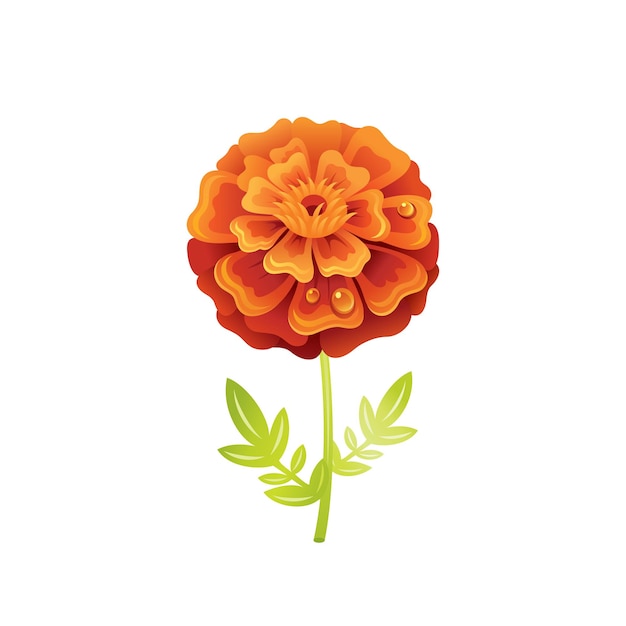 Page 18 | Plastic flowers Vectors & Illustrations for Free Download |  Freepik