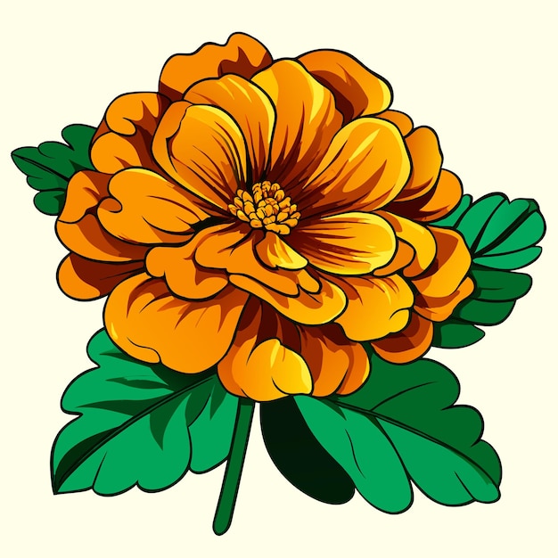 Vector marigold flower with green leaves