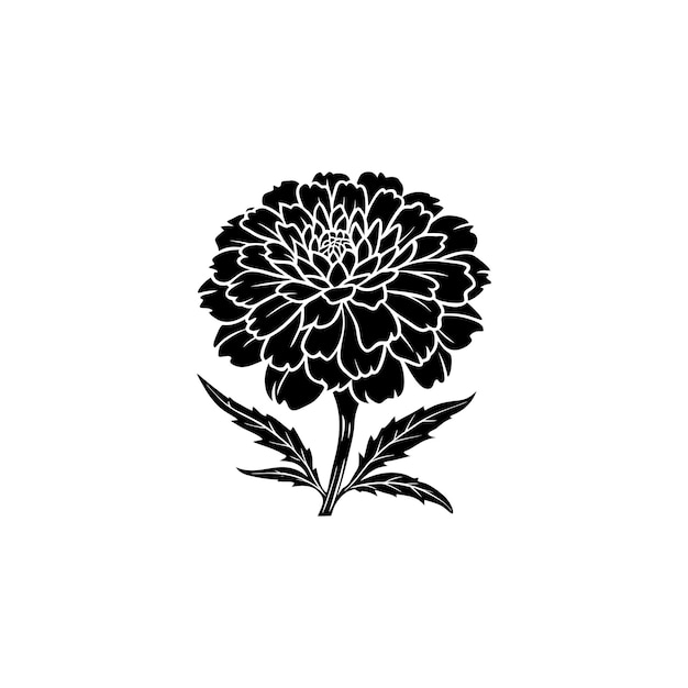 Marigold silhouette