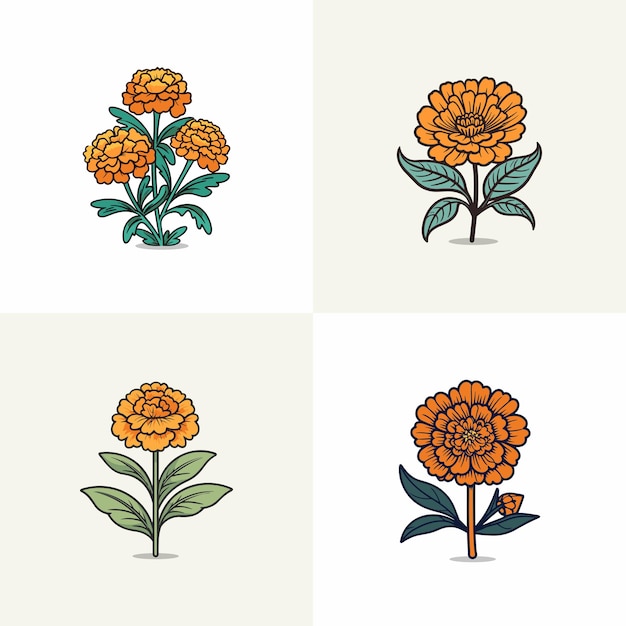 marigold vector clip art illustration