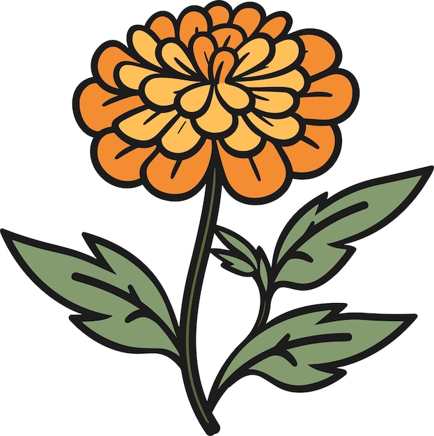 marigold vector for sticker and wall art