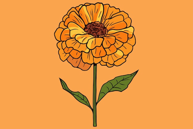 Vector marigold