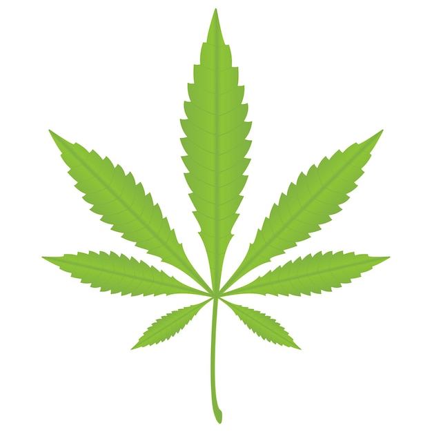 Marihuanablad dat op witte achtergrond wordt geïsoleerd Vectorillustratie