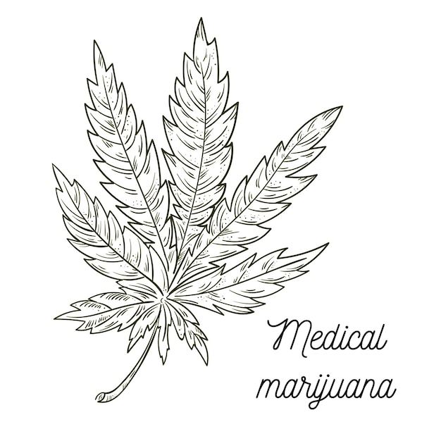 Marihuanablad Hand getekend ontwerpelement cannabis Vintage zwarte gravure vectorillustratie