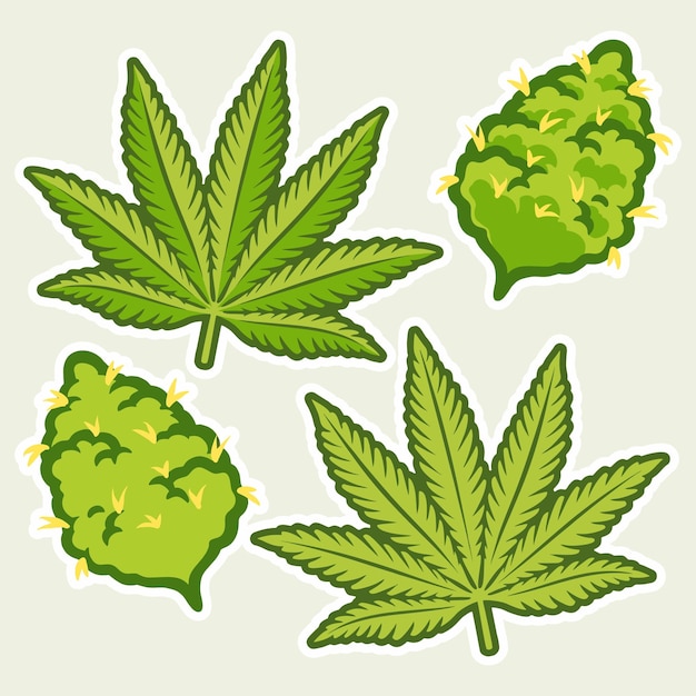 Marijuana Buds Cannabis Vector Design