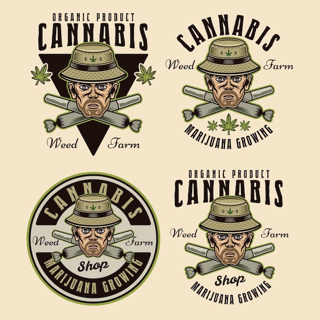 Vector marijuana growing set of four vector emblems badges labels or logos illustration in colorful style isolated on light background