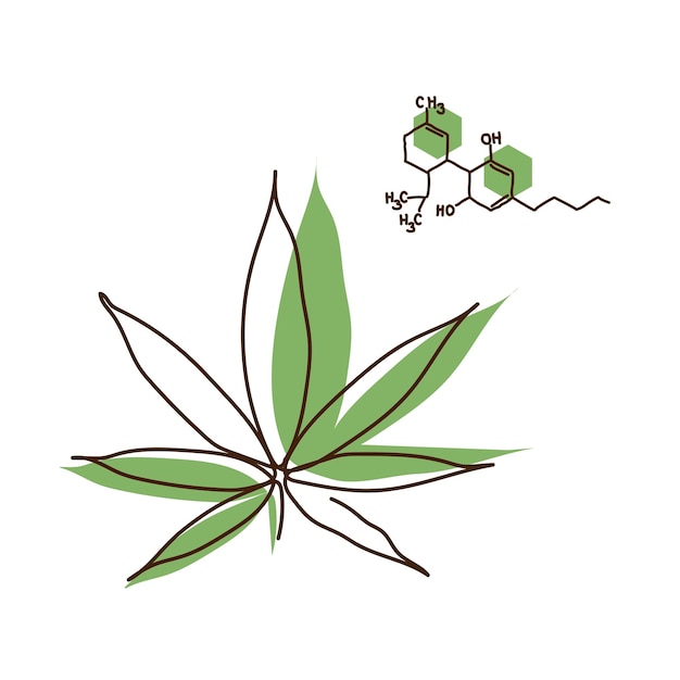 Marijuana leaf in line art style. cbd formula