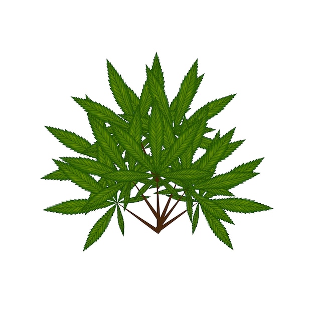 Vector marijuana leaf on reggae flag illustration