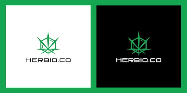 Marijuana with hexagon logo design