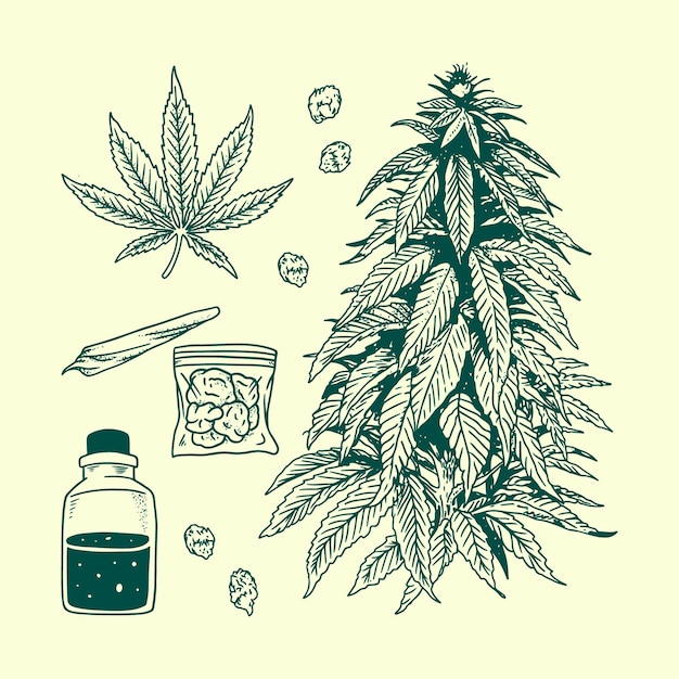 Premium Vector | Marijuana