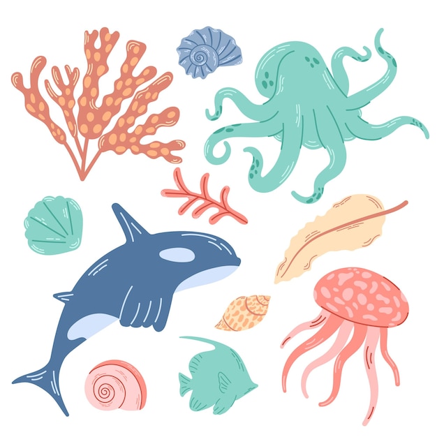 Marine animals and plants Bright illustration of killer whale octopus jellyfish and shells