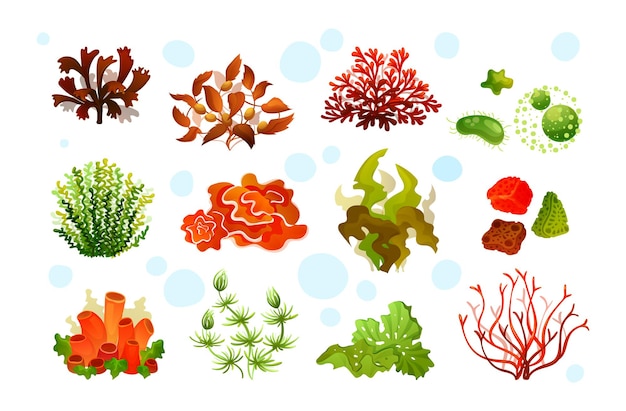 Vector marine aquarium flora, coral reef underwater seaweeds, ocean plants phytoplankton, algae, laminaria